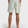 73 Pro 19″ Boardshorts