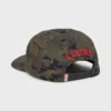 A.I. Bio Wave Snapback A.I. Bio Wave Snapback