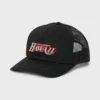 A.I. Champ Trucker