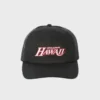 A.I. Champ Trucker