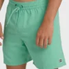 All Day Layback Trunks All Day Layback Trunks