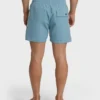 Dbah Panel Layback Trunks Dbah Panel Layback Trunks