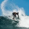 Dbah Pro 19″ Boardshorts