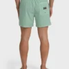 Every Other Day Wave Washed Layback Trunks