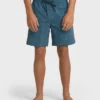 Good Times Layback Trunks Good Times Layback Trunks