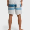Good Times Layback Trunks Good Times Layback Trunks