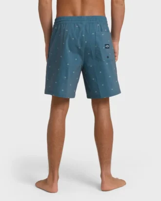 Good Times Layback Trunks
