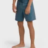 Good Times Layback Trunks Good Times Layback Trunks