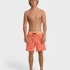 Good Times Layback Trunks Good Times Layback Trunks
