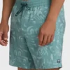 Good Times Layback Trunks Good Times Layback Trunks