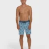 Good Times Pro 18″ Boardshorts Good Times Pro 18″ Boardshorts