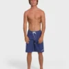 Piped Pro 21″ Boardshorts