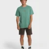Pure Intentions Wave Washed Premium kortärmad T-shirt Pure Intentions Wave Washed Premium kortärmad T-shirt