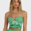 Sea Shell Tank Sea Shell Tank