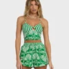 Sea Shell Tank Sea Shell Tank