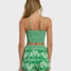 Sea Shell Tank Sea Shell Tank