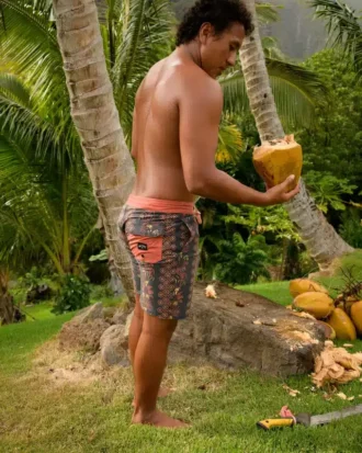 Sundays Lo Tides 18″ Boardshorts