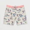 Sundays Lo Tides 19″ Boardshorts