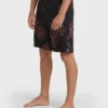 Sundays Pro 19″ Boardshorts Sundays Pro 19″ Boardshorts
