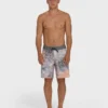 Sundays Pro 19″ Boardshorts Sundays Pro 19″ Boardshorts